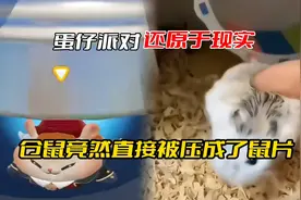 蛋仔派对还原与现实，仓鼠被压成了鼠片#蛋仔派对视频封面