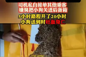 据黑猫投诉7月29日报道，江苏南通的狗主人花438元下单哈啰宠物独行快车，司机却把小狗塞后备箱接其他乘客，最终小狗吐血身亡。#小强热线主播说
