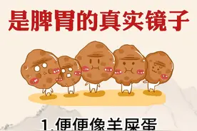 大便是脾胃的镜子 快来看看你中了哪个！#医学科普 #脾胃 #中医 #调理脾胃 #硬核健康科普行动视频封面