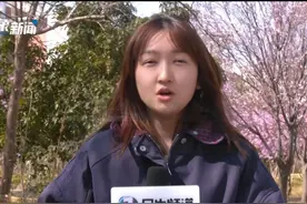 用AI写黄色小说牟利 人工智能如何建立道德规范视频封面