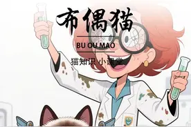 布偶猫是怎么来的