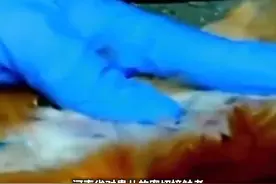 国家卫生健康委4月26日通报，河南省发现一例人感染H3N8禽流感病例。视频封面