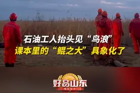 课本中的“鲲之大”现实大概就长这样吧 近日，山东东营，油田工人台头间隙看到“鲲鹏”，让人不禁感叹：大美山东，美不胜收！#山东 #大自然 #绿水青山我的家视频封面