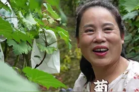 在家就能做的“葡萄撞奶”真的好喝到爆，关键喝的还放心！#农村美食 #新农人计划2025 #夏日饮品