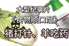 大型纪录片-《食品顺口溜》。素面也不安全？给猪打激素视频封面