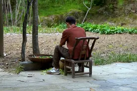 时隔三天地里的豌豆荚只能拨开吃豆了，在农村这个季节家里但凡是吃米饭里面都会掺入豌豆一起蒸，再配上三两个农家菜不知道适合你的口味儿不？#农村美食 #柴火饭菜 #我的农村生活 #新农人计划2024视频封面