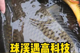 沱江里面还有如此狂妄之人2 #江湖眼 #钓鱼人 #锚鱼 #非法捕捞视频封面