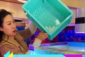 养鱼预防大于治疗，维护鱼缸水质定期下盐少不了 #养鱼日记 #观赏鱼 #水族 #新手养鱼 #养鱼视频封面