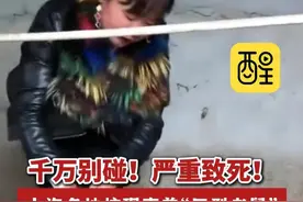 千万别碰！严重致死！上海多地惊现南美“巨型老鼠”！“根本不怕人，体型比兔子还大！”（编辑：王慧君；责编：黄燕飞；素材来源：滁州市广播电视台）#老鼠  #疫情  #健康科普  #老百姓关心的话题  #上海  有这些症状要警惕诺如病毒视频封面