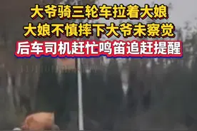 大娘从三轮车摔下大爷未察觉，后车司机赶忙鸣笛追赶提醒#这操作也是没谁了 #行车安全 #你大爷永远是你大爷 （来源：大象新闻 @淄博百果大樱桃采摘园）视频封面