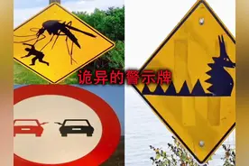 盘点全球诡异的警示牌，在每个警示牌的背后，都有着离奇的传说！视频封面