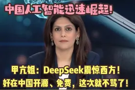 甲亢姐：中国AI大模型DeepSeek震惊西方，又是抄袭的？视频封面