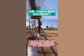 合肥一公园树木遭绑架
铁丝已勒进树干视频封面