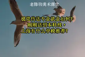 视觉传达怎么样？刚到本科线，上海有什么学校推荐.#美术高考视频封面