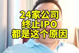 2024年上半年，202家公司终止IPO，好事坏事？ #上市新规视频封面