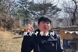 生态兴则文明兴，保护蜜蜂保护生态，我们一直在路上！！！#视频封面