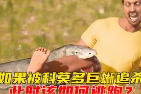 如果不小心被科莫多巨蜥追杀，此时该如何逃跑？视频封面
