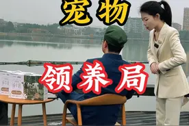“免费领养猫咪？月供猫粮强制买！大学生的‘爱心’陷阱！”视频封面
