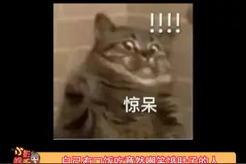 “北大网红”羊毛月嘲笑大学生找不到工作，把别人的苦难当段子博眼球真的是一点都不好笑