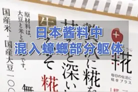 #日本酱料中混入蟑螂部分躯体 ，#日本知名食品厂商召回近11万盒味噌酱视频封面
