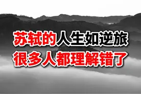 颠覆认知！苏轼名言“人生如逆旅”真相揭秘 文章解释了苏轼名句视频封面