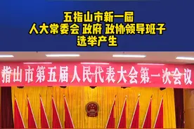 五指山市新一届人大常委会 政府 政协领导班子选举产生#海南新闻 #五指山 #海南dou知道 
视频封面