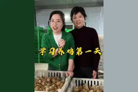 快来见证小鸡破壳，散养土鸡，鸡苗好鸡才能更好，蛋才会更香。它们以后会在山林里自在长大。#新农人计划2025#幸福乡村带头人#散养土鸡#散养土鸡蛋#乡野春日地图视频封面