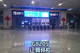 G8205 赤峰-沈阳南，辽宁朝阳站停止检票。#交通强国铁路先行视频封面