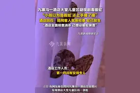 9月9日，四川，#九寨沟一酒店回应大堂疑现剧毒蝮蛇  ：陪同客人就医检查，蛇已放生，酒店全面排查消杀，增设驱蛇装置。视频封面