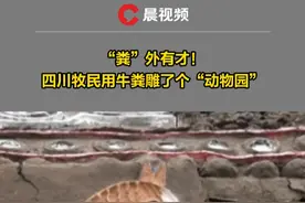 “粪”外有才！#四川牧民用牛粪堆了个艺术墙 ，墙上刻了牛、马、熊猫等动物惟妙惟肖。小小牛粪作用多，这样的牛粪文化你了解吗？
