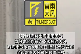 #珠海 全市雷雨大风黄色预警信号已生效，大家做好防御。#雷雨  #天气视频封面