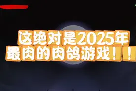 Nunholy-我宣布！这绝对是2025年最肉的肉鸽游戏！ #游戏视频封面