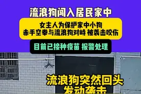 3月25日（采访）湖南，流浪狗闯入居民家中，女主人为保护家中小狗，赤手空拳与流浪狗对峙 被袭击咬伤，目前已接种疫苗 报警处理#流浪狗 #惊险一幕 #监控下的一幕 素材来源@城市摆渡人视频封面