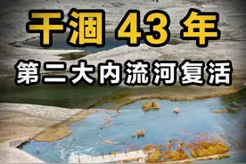 原地复活！干涸了43年的第二大内流河，为何如今又有水了？ #黑河