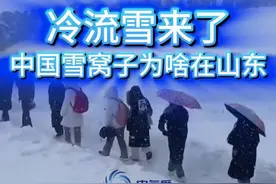 想看雪，不一定非要去东北 这暴风雪怎么能这么离谱！这画面不是西伯利亚，也不是东北雪乡，而是中国的雪窝子，山东的烟台和威海，为什么这里的暴雪会这么厉害？今年能去看雪吗？#雪窝子 #暴雪 #特大暴雪 #寒潮 #冷空气 @中国气象爱好者视频封面