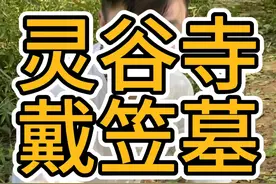 民国最神秘的男人 戴老板墓....... #旅游 #灵谷景区 #戴笠 @南京 五月视频封面