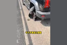 开车压了个大坑，轮胎干爆了找谁赔#每天一个用车知识 #带你懂车 #汽车知识视频封面