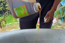 老外都是如何烹饪全猪的， 东南亚的这种做法真是不可思议。#户外美食 #大口吃肉的感觉太爽了 #东南亚美食 #内容启发搜索视频封面
