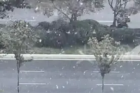 虽迟但到！郑州初雪终于来了！1月23日下午一点半左右，郑州多地天空飘起了雪花。#郑州初雪 #2025第一场雪视频封面