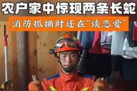 贵州思南：农户家中惊现两条长蛇，消防抓捕时还在“谈恋爱” #消防员抓蛇 @中国消防 @贵州消防
