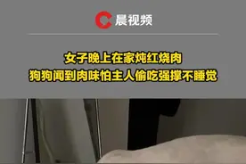 女子晚上在家炖红烧肉，狗狗闻到肉味怕主人偷吃强撑不睡觉【来源：@Dream… 】视频封面