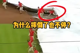 球场铺防水布时，为什么有人摔倒了也不停下来？ #科普  #解压   #物理  #棒球 #人文星闪耀计划