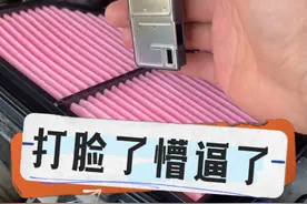 #每天一个用车知识 拔掉空气流量传感器插头后数据恢复原厂，我懵了#带你懂车 #空气流量计视频封面