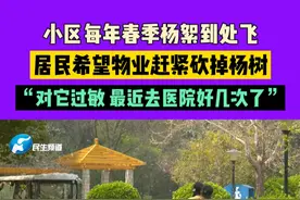4月2日（发布），河南郑州，小区每年春季杨絮到处飞，居民不敢摘口罩，担心吸入太多，“对它过敏，最近去医院好几次了”#河南dou知道视频封面