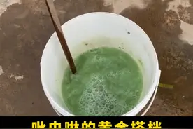 吡虫啉买回来直接就打，难怪你用的效果不好！分享三个吡虫啉的黄金搭档。#来抖音学农技 #新农人计划2022 #种植小技巧 视频封面