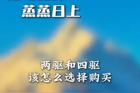 两驱和四驱，各有什么特点？ #四驱车 #两驱价买四驱 #汽车驱动 #汽车知识 #汽车知识分享