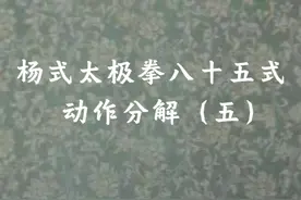 杨式太极拳八十五式动作分解（五） 杨式太极拳八十五式完整拳谱