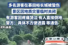 多名游客在慕田峪长城被蛰伤，有游客因疼痛哭泣，有人直接倒地，警方：具体不方便透露 等通告（极目新闻）