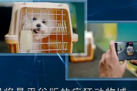 首家宠物经济产业园落户平谷#宠物和孩子视频封面