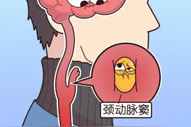 一穿高领就难受？#衣领综合征#万万没想到#冷知识#轻漫计划#万物皆可达视频封面